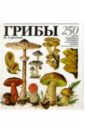 ГРИБЫ. 250 видов съедобных, ядовитых и лечебных грибов - Сергеева Мария