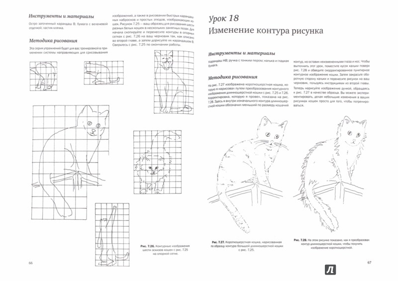 Иллюстрация 1 из 23 для Рисуем кошек простым карандашом - Фрэнк Лохан | Лабиринт - книги. Источник: Лабиринт