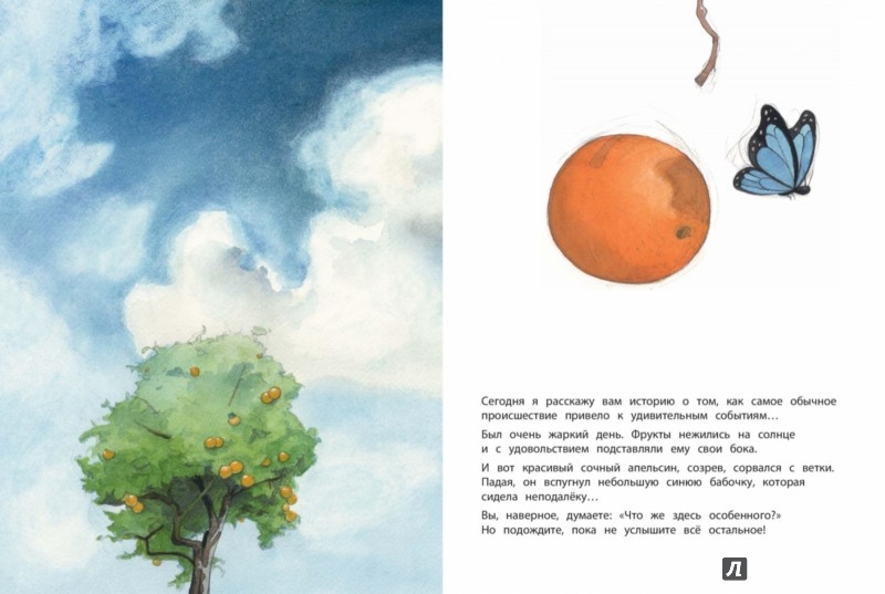 Иллюстрация 1 из 5 для Во всём виноват апельсин - Квентин Гребан | Лабиринт - книги. Источник: Лабиринт