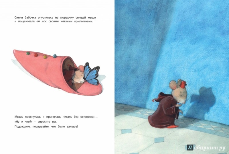 Иллюстрация 2 из 5 для Во всём виноват апельсин - Квентин Гребан | Лабиринт - книги. Источник: Лабиринт