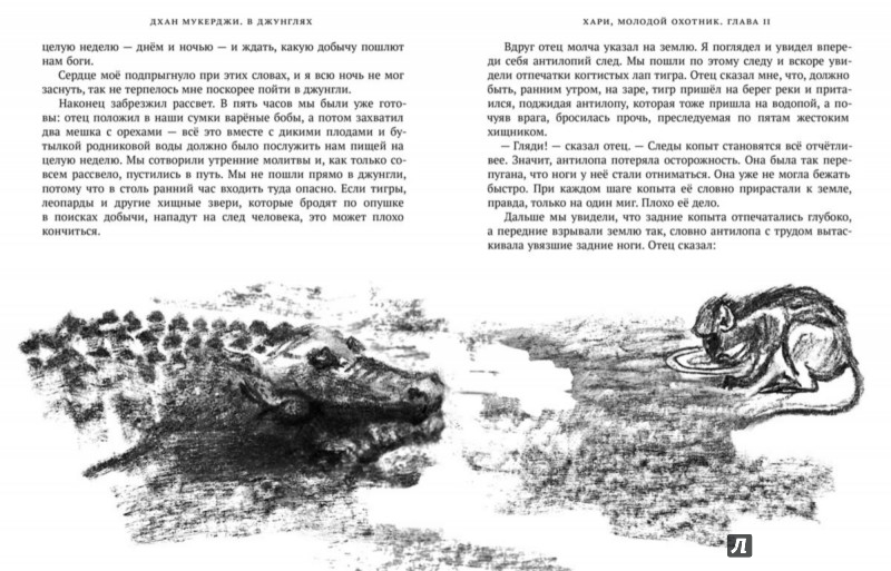 Иллюстрация 4 из 21 для В джунглях - Дхан Мукерджи | Лабиринт - книги. Источник: Лабиринт