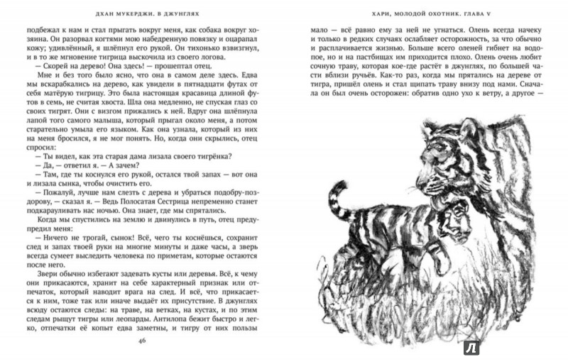 Иллюстрация 5 из 21 для В джунглях - Дхан Мукерджи | Лабиринт - книги. Источник: Лабиринт