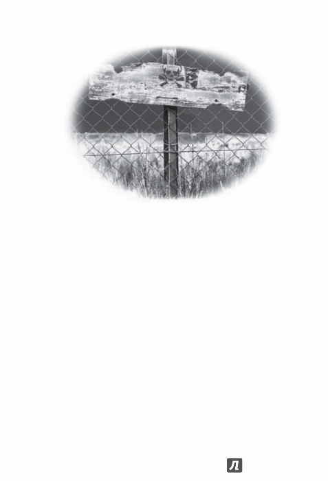 Иллюстрация 1 из 23 для Пикник на обочине - Стругацкий, Стругацкий | Лабиринт - книги. Источник: Лабиринт