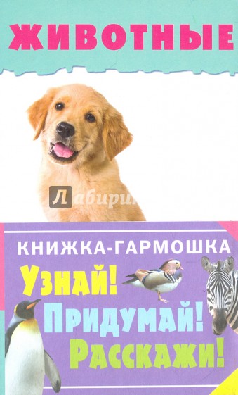 Животные