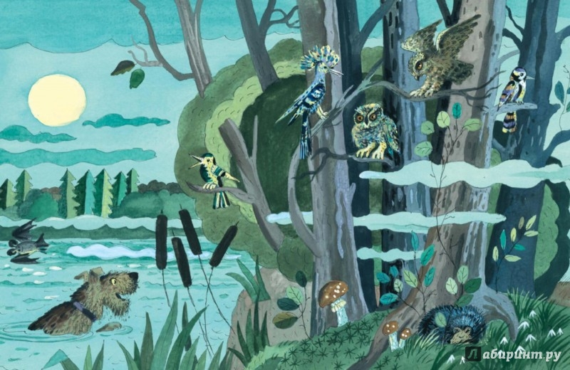 Иллюстрация 6 из 7 для Очень мявная история - Ксения Драгунская | Лабиринт - книги. Источник: Лабиринт