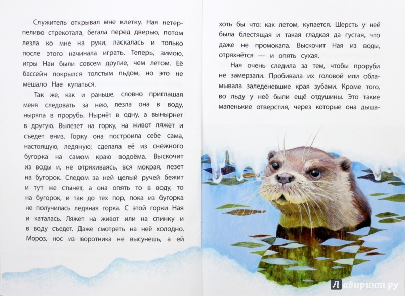 Иллюстрация 1 из 25 для Ная-выдрёнок: рассказы - Вера Чаплина | Лабиринт - книги. Источник: Лабиринт