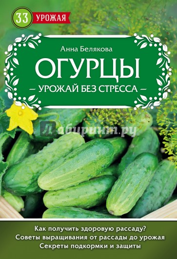 Огурцы. Урожай без стресса