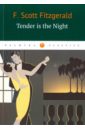 Фицджеральд Фрэнсис Скотт Tender Is the Night hussain nadiya the fall and rise of the amir sisters