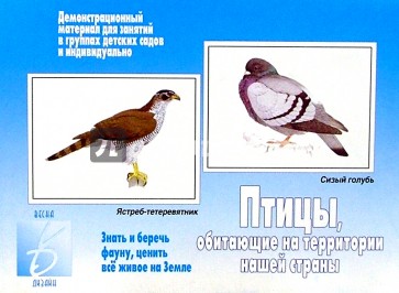 Игра: Птицы, обитающие на территории нашей страны