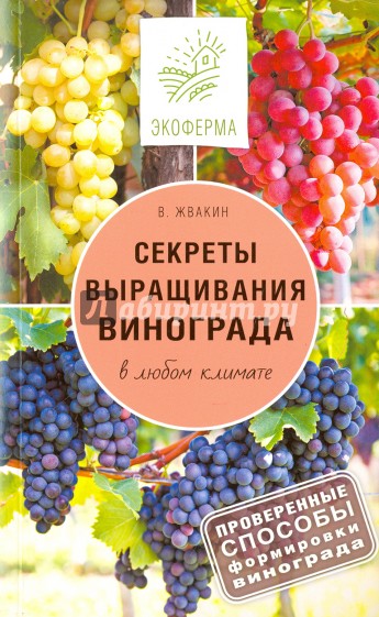 Секреты выращивания винограда в любом климате. Проверенные способы формировки винограда