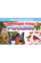 Карточки Зимующие птицы России карточки перелетные птицы россии