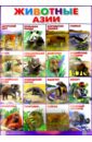 Плакат Животные Азии (550х770) животные азии раскраска м 015