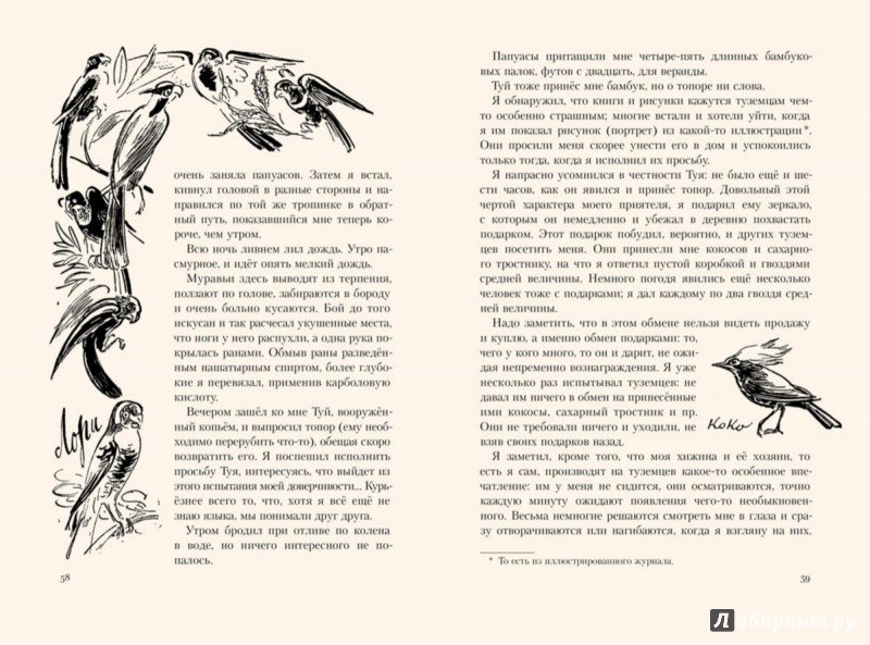 Иллюстрация 7 из 27 для Путешествия - Николай Миклухо-Маклай | Лабиринт - книги. Источник: Лабиринт