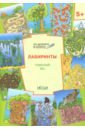 Лабиринты. Чудесный лес. Тетрадь для занятий с детьми 5-6 лет - Мёдов Вениамин Маевич
