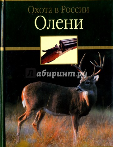 Олени