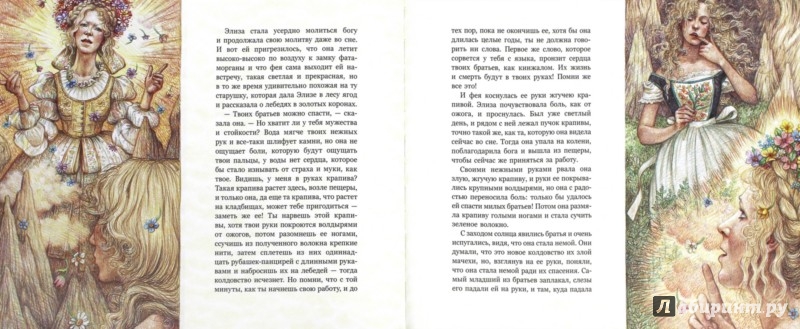 Сколько братьев было у главной героини сказки г х андерсена дикие лебеди