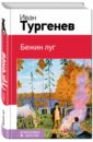 Бежин луг - Тургенев Иван Сергеевич