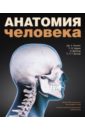 Анатомия человека. Цветной атлас и учебник анатомии