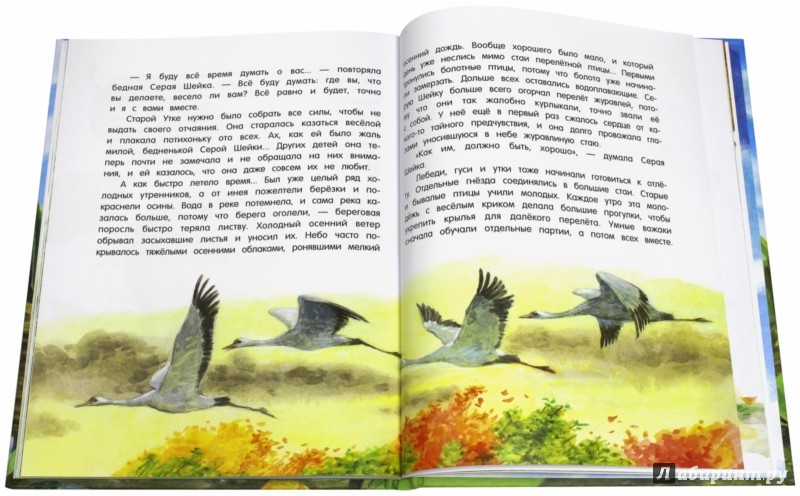 Иллюстрация 6 из 38 для Лягушка-путешественница - Ушинский, Мамин-Сибиряк, Горький, Гаршин | Лабиринт - книги. Источник: Лабиринт