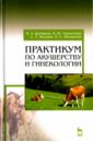 Практикум по акушерству и гинекологии. Учебное пособие - Багманов Минереис Алиуллович, Терентьева Наталья Юрьевна, Юсупов Самат Равхатович