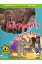 Kubuitsile Lauri Elephant joe satriani – the elephants of mars cd
