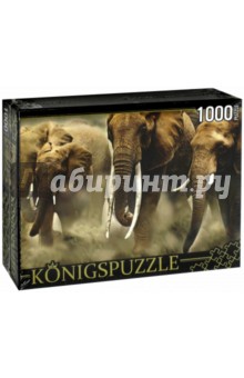 Puzzle-1000 