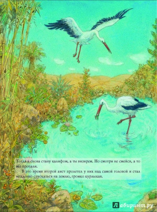 Иллюстрация 2 из 2 для Калиф-аист | Лабиринт - книги. Источник: Лабиринт