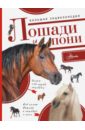 Белинг Сильке Большая энциклопедия. Лошади и пони