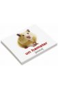 Епанова Е. В., Носова Т. Е. Комплект карточек Мини-20 Les animaux domestiq. Домашние животные (французский язык)