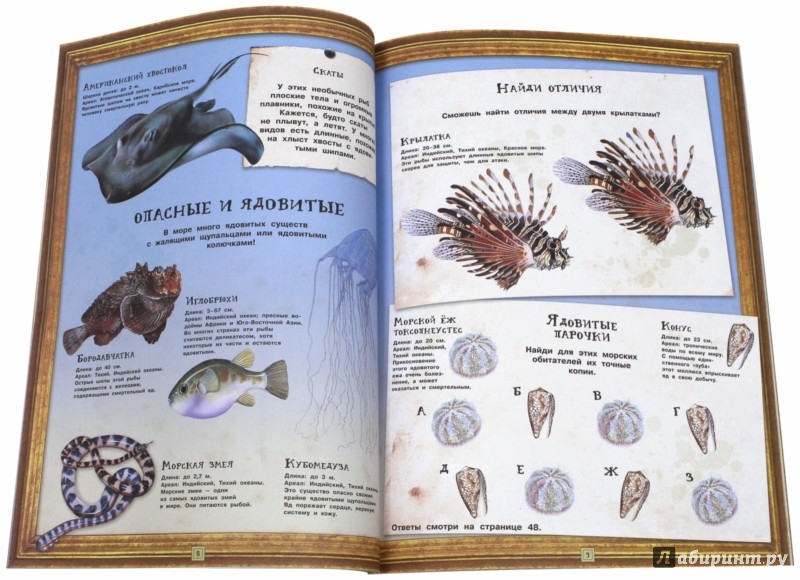 Занимательная зоология. Жизнь океанов