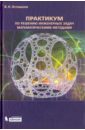 Практикум по решению инженерных задач математическими методами. Учебное пособие