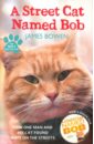 Bowen James A Street Cat Named Bob. How One Man and His Cat Found Hope on the Streets puckett gavin blanksy the street cat