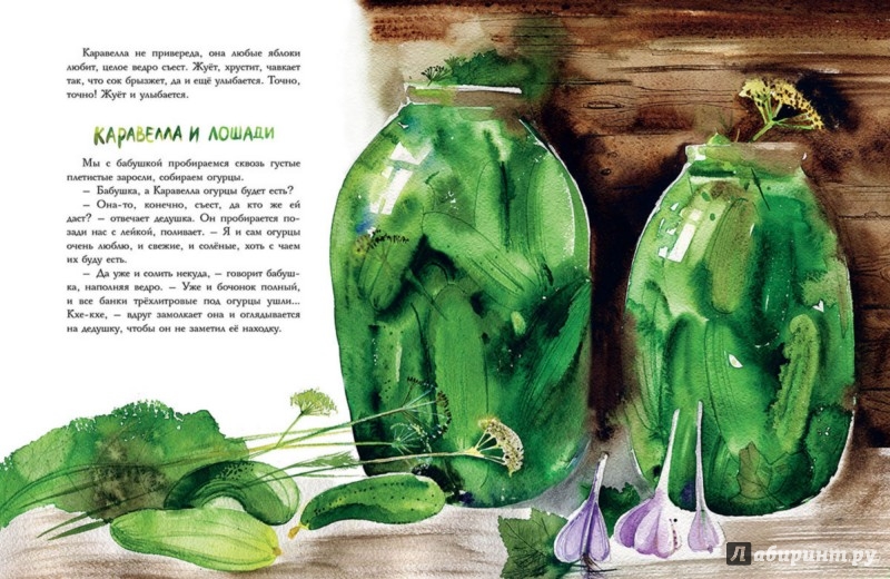 Иллюстрация 6 из 42 для Каравелла и я - Ольга Фадеева | Лабиринт - книги. Источник: Лабиринт