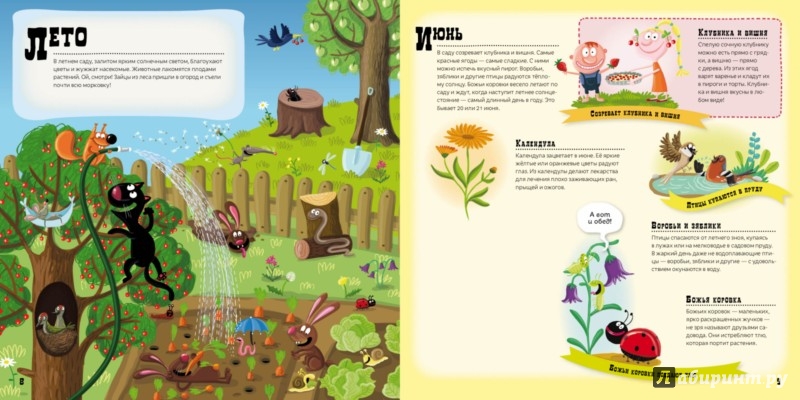 Иллюстрация 2 из 4 для Сад круглый год | Лабиринт - книги. Источник: Лабиринт