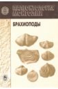 Палеонтология Монголии. Брахиоподы