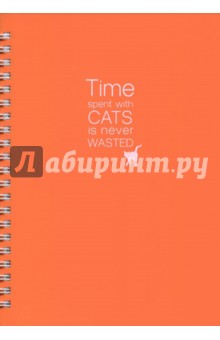   Cats  ( , 96 , ) (N547/orange)