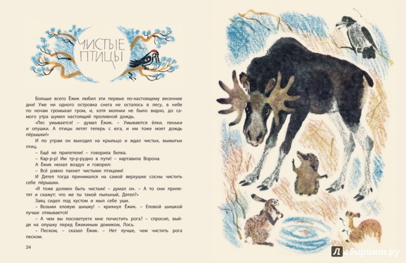 Иллюстрация 5 из 23 для Поросёнок в колючей шубке - Сергей Козлов | Лабиринт - книги. Источник: Лабиринт