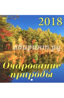 Календарь настенный на 2018 год 