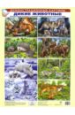 Демонстрационные картины. Дикие животные демонстрационные картины дикие животные 8 плакатов а3 атмосфера праздника