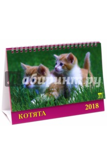 2018 Календарь Котята.