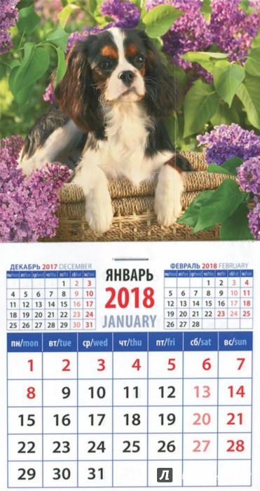 Иллюстрация 1 из 4 для 2018 Календарь "Год собаки. Кавалер кинг Чарльз спаниель в корзине на фоне сирени" (20829) | Лабиринт - сувениры. Источник: Лабиринт
