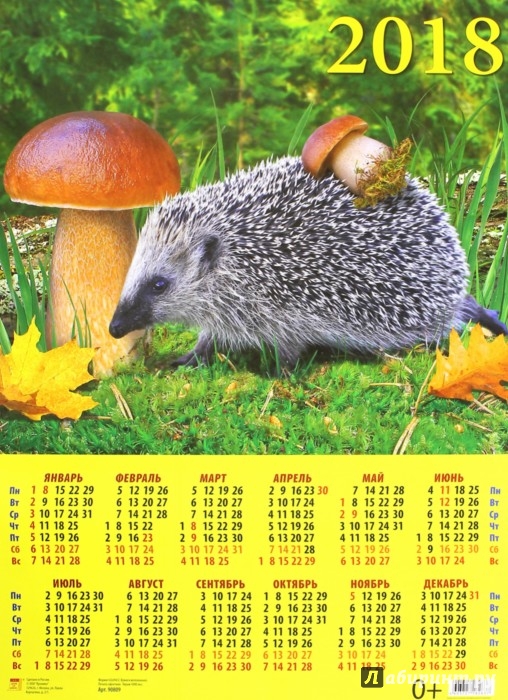 Иллюстрация 1 из 2 для 2018 Календарь Ежик с грибом (90809) | Лабиринт - сувениры. Источник: Лабиринт