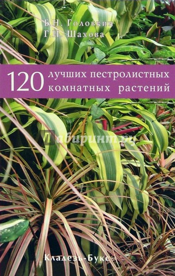 120 лучших пестролистных комнатных растений