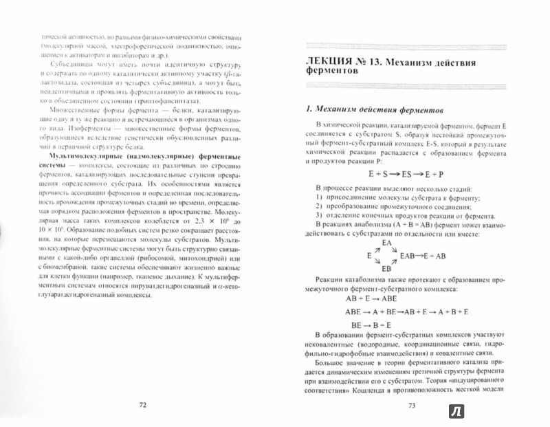 Иллюстрация 1 из 3 для Биоорганическая химия - Осипова, Шустов | Лабиринт - книги. Источник: Лабиринт