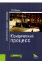 Мишко Роман Сергеевич Юридический процесс. Монография гладков геннадий леонидович чалов роман сергеевич беркович константин михайлович гидроморфология русел судоходных рек монография