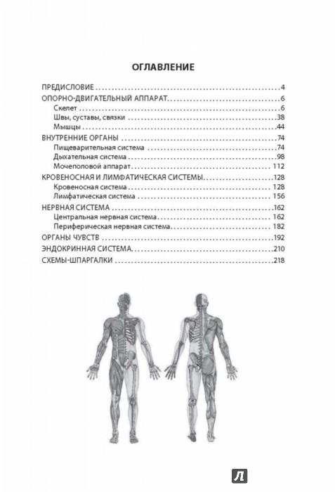 Животные картинки раскраска Животные картинки раскраска