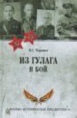 Из ГУЛАГа - в бой - Черушев Николай Семенович