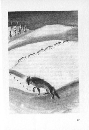 Иллюстрация 7 из 29 для Глаз волка - Даниэль Пеннак | Лабиринт - книги. Источник: Лабиринт