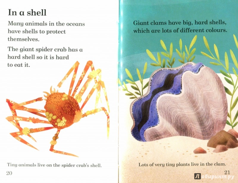 Иллюстрация 1 из 10 для In the Ocean. Read it Yourself with Ladybird. Level 4 | Лабиринт - книги. Источник: Лабиринт