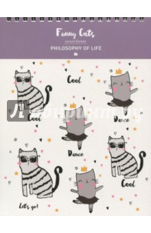  80 , 5,   Be Smart, Funny cats  (N975)